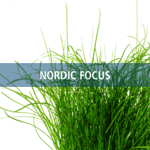 Nordic focus