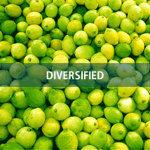 Diversified
